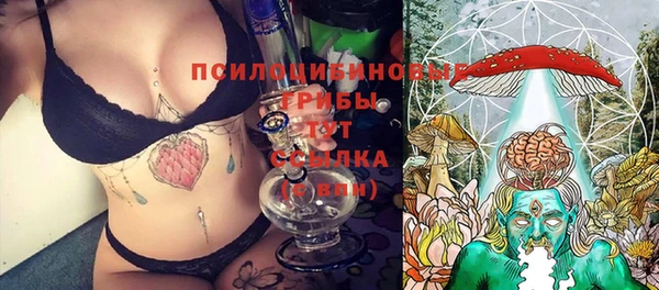 МДПВ Верхний Тагил