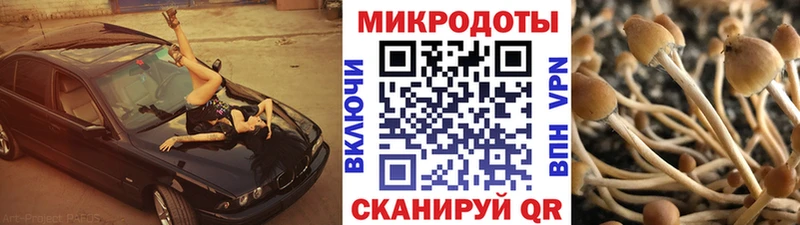 blacksprut маркетплейс  Курган  Галлюциногенные грибы Psilocybine cubensis 