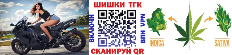 как найти закладки  Курган  Бошки марихуана SATIVA & INDICA 